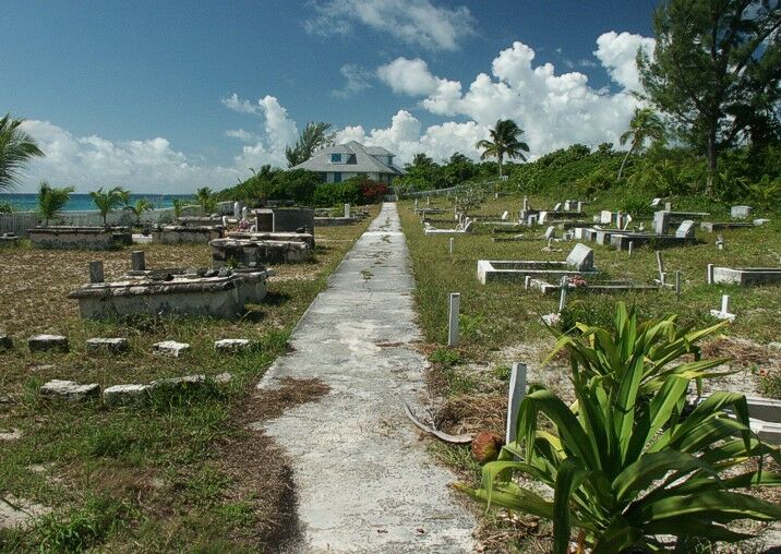 Click to See Next Image